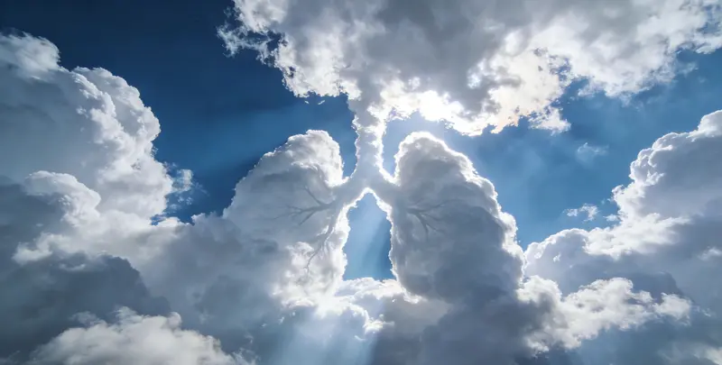 株洲肺癌12基因ctDNA突变检测(血液）图片1