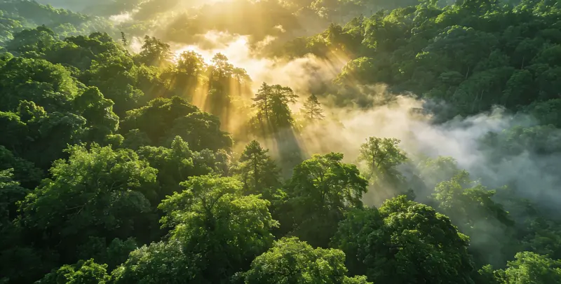 株洲肺癌68基因检测图片1